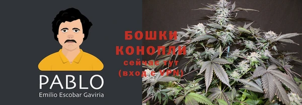 марки lsd Богданович