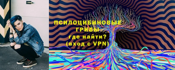 твердый Богородицк