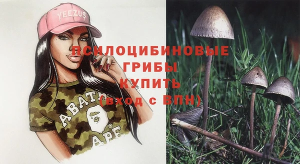 mix Белокуриха