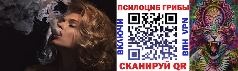 цена   Вельск  Псилоцибиновые грибы мухоморы 